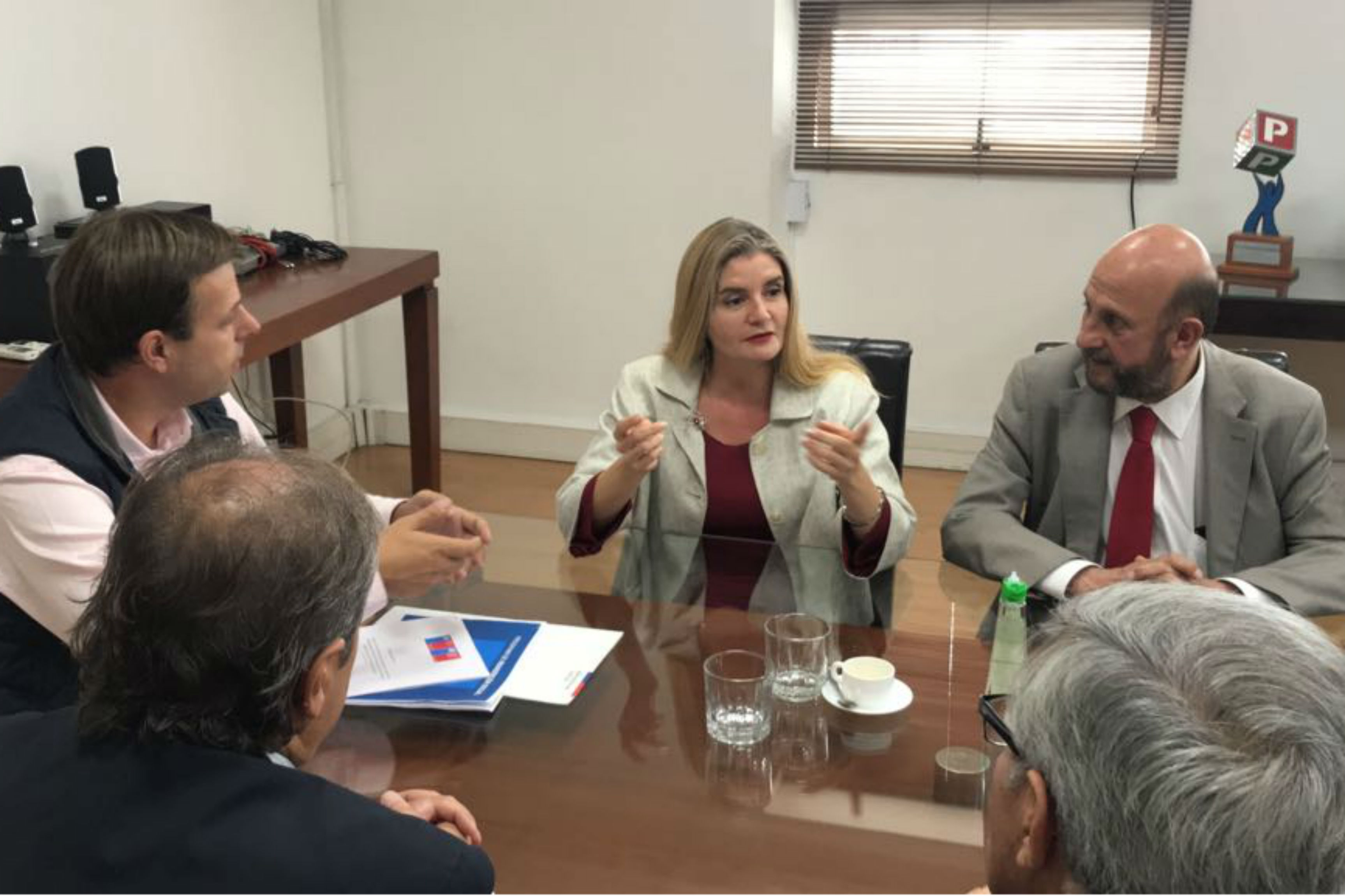 Reunión Alcalde de Puente Alto 6 de Abril (3) 2