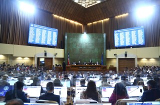 Reinsercion_sesion