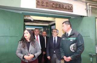 Punta Arenas 5