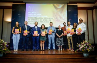 Informe_MesaAdopcionesIrregulares_01