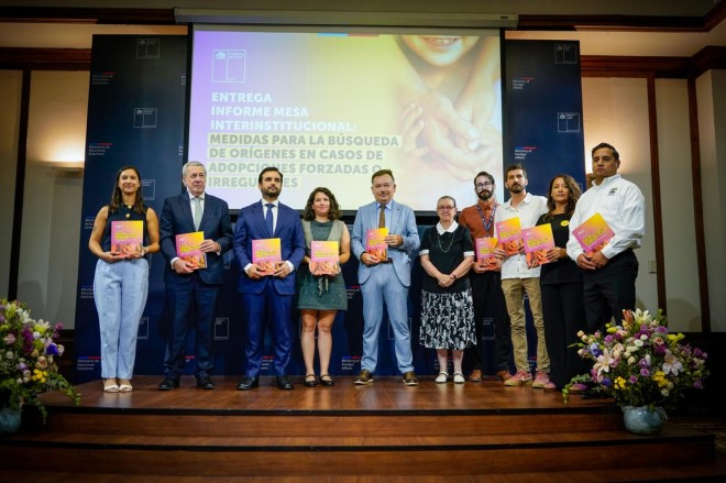 Informe_MesaAdopcionesIrregulares_01
